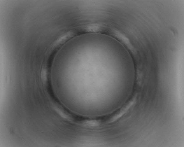 X0000114690161200910211320
