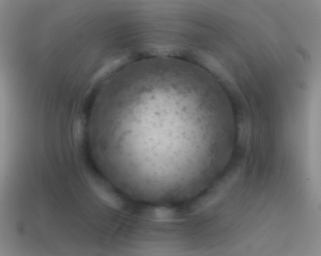 X0000114690165200910211320