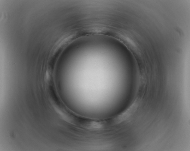 X0000114690166200910211320