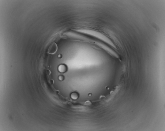 X0000114690167200910211320