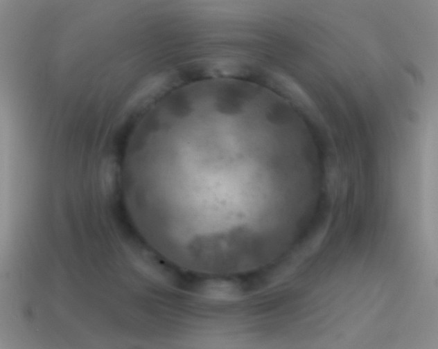 X0000114690169200910211320