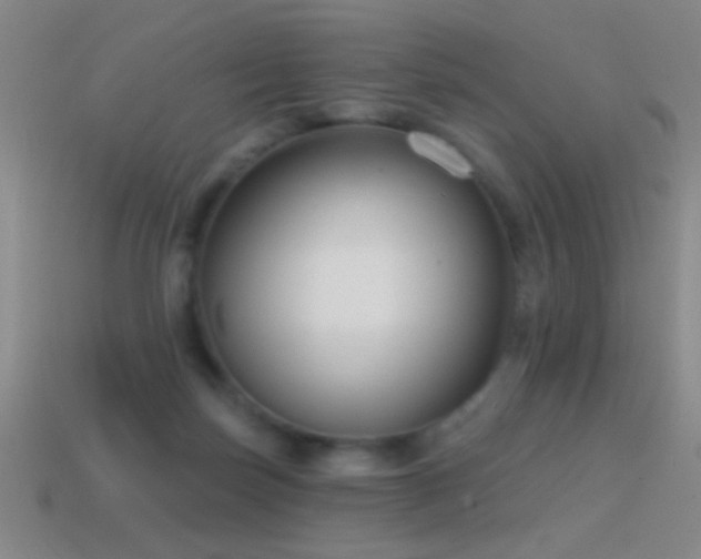 X0000114690171200910211320