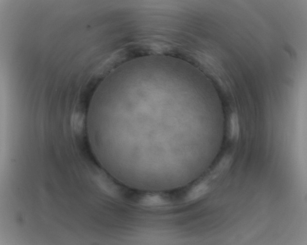 X0000114690177200910211320