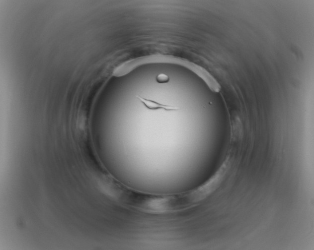 X0000114690178200910211320