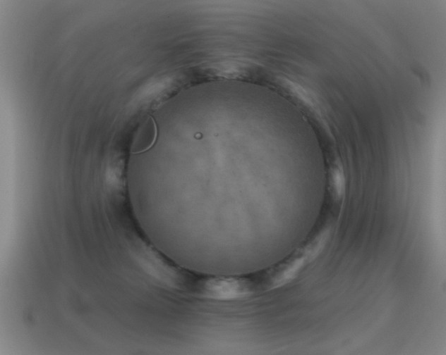 X0000114690181200910211320