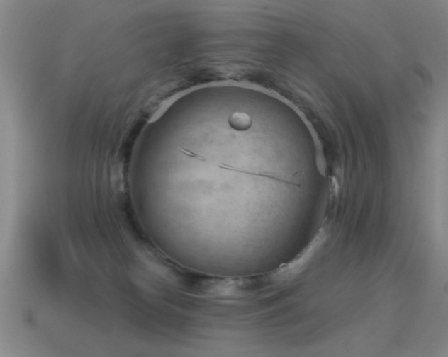 X0000114690182200910211320