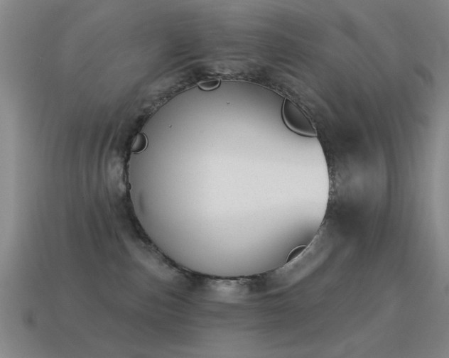 X0000114690187200910211320