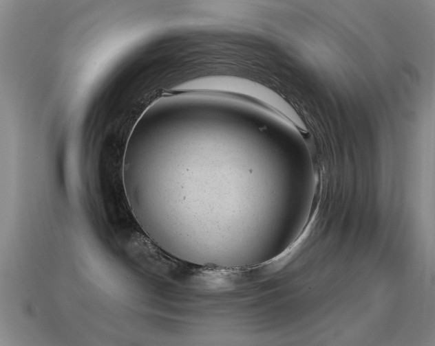 X0000114690190200910211320