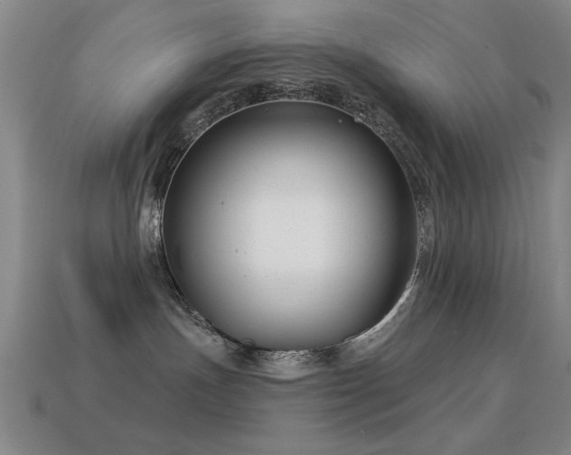 X0000114690191200910211320
