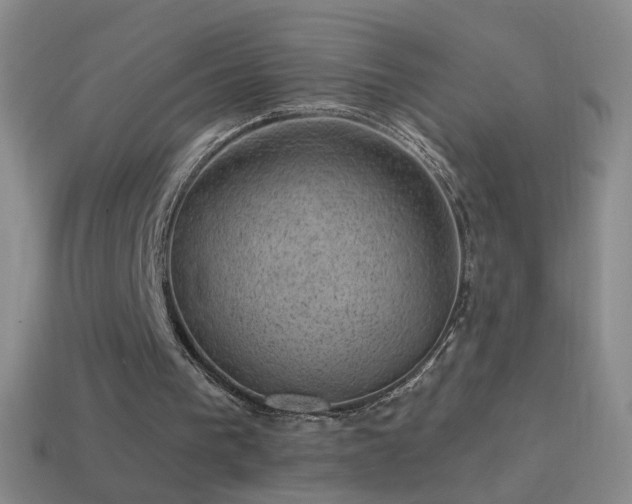 X0000114690193200910211319