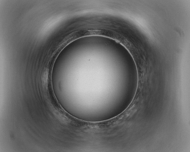 X0000114690194200910211319