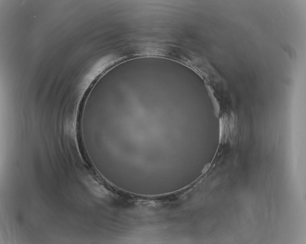 X0000114690195200910211319
