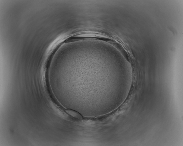 X0000114690197200910211319
