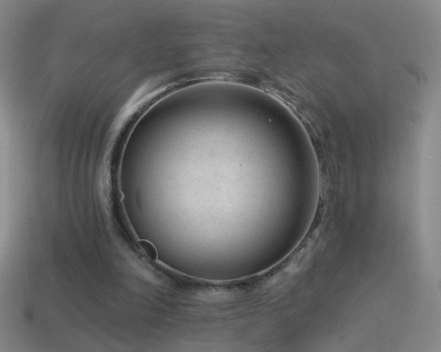 X0000114690198200910211319