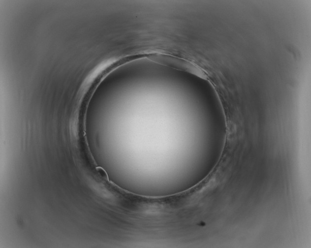 X0000114690200200910211319