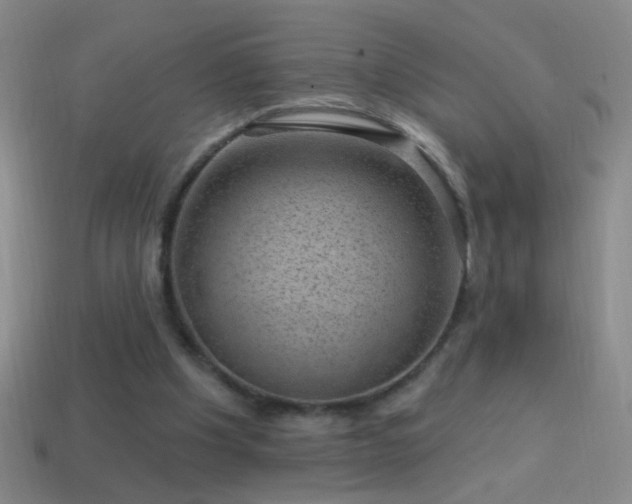 X0000114690201200910211319