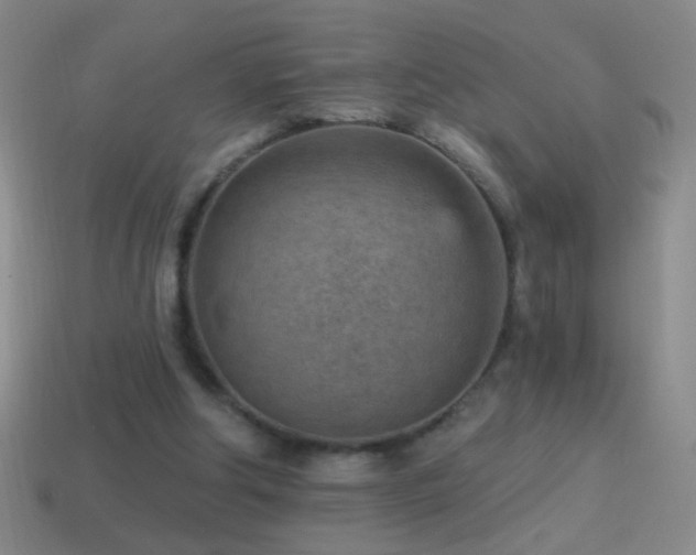 X0000114690202200910211319
