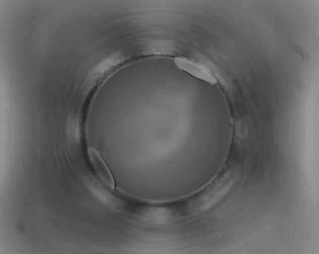 X0000114690203200910211319