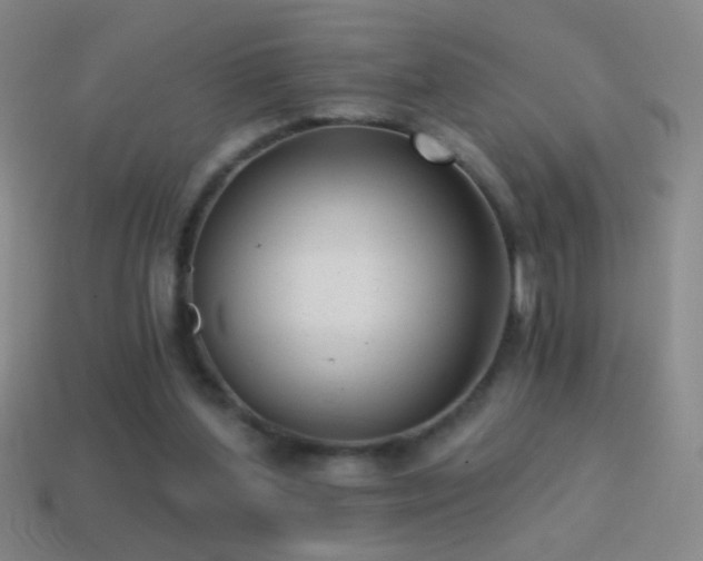 X0000114690204200910211319
