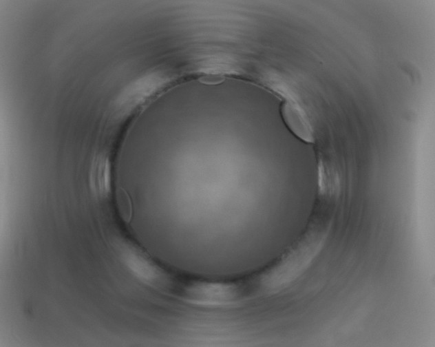 X0000114690205200910211319