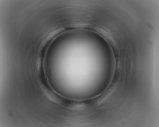 X0000114690206200910211319