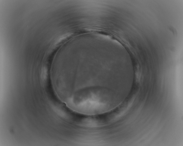 X0000114690211200910211319