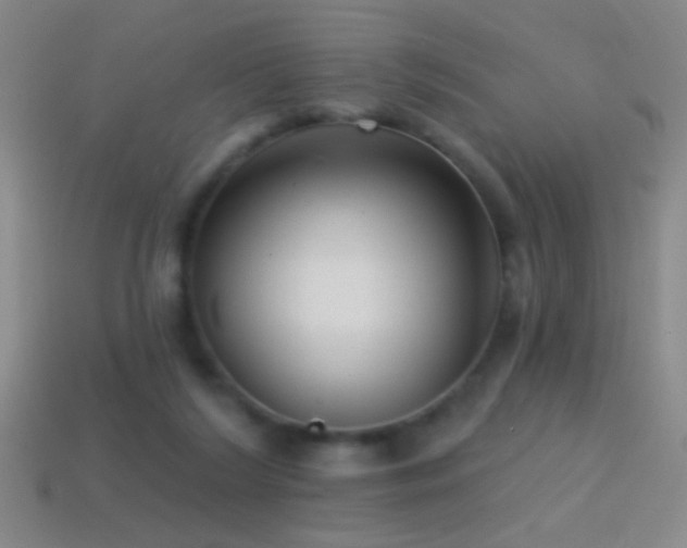 X0000114690212200910211319