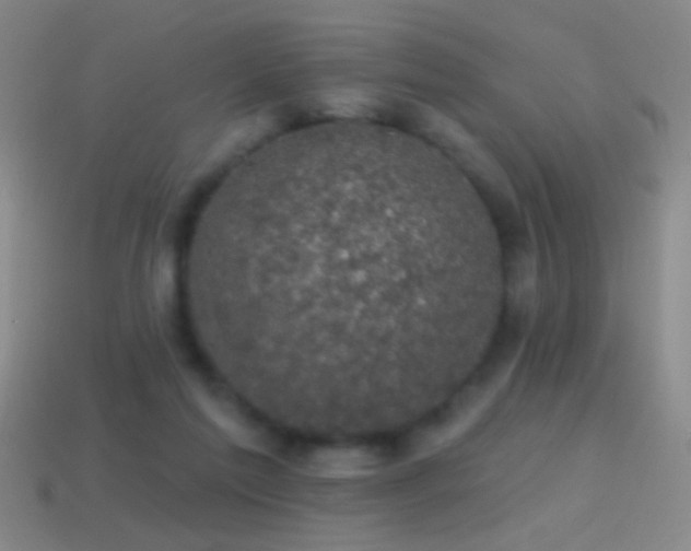 X0000114690213200910211319