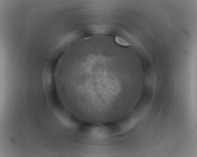 X0000114690215200910211319