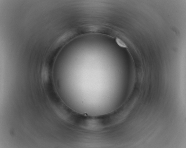 X0000114690216200910211319