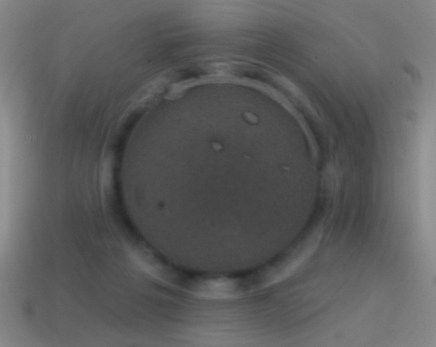 X0000114690217200910211319