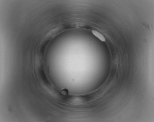 X0000114690218200910211319