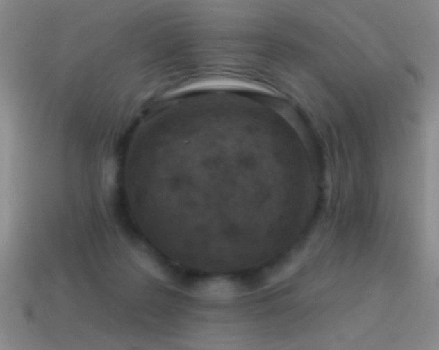 X0000114690219200910211319