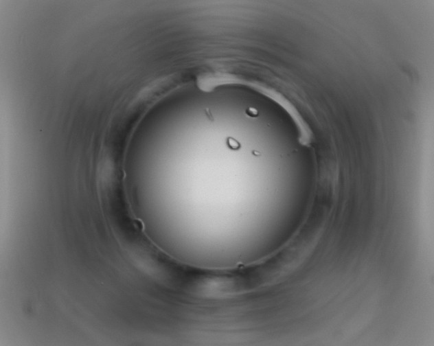 X0000114690220200910211319