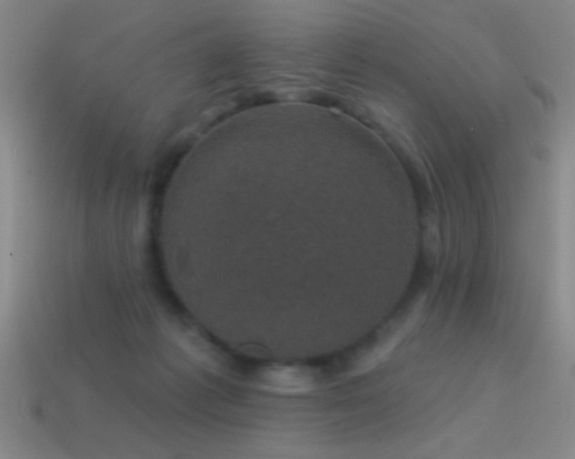 X0000114690221200910211319