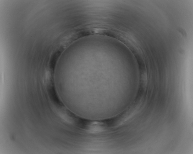 X0000114690222200910211319