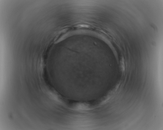 X0000114690223200910211319