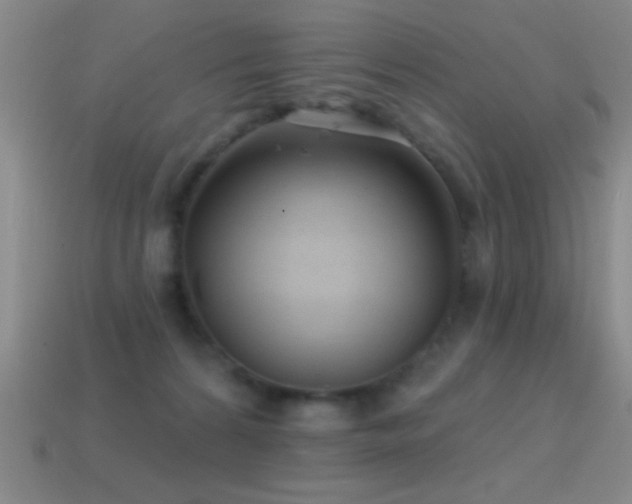X0000114690224200910211319