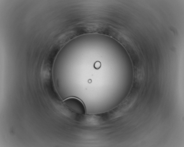 X0000114690226200910211319