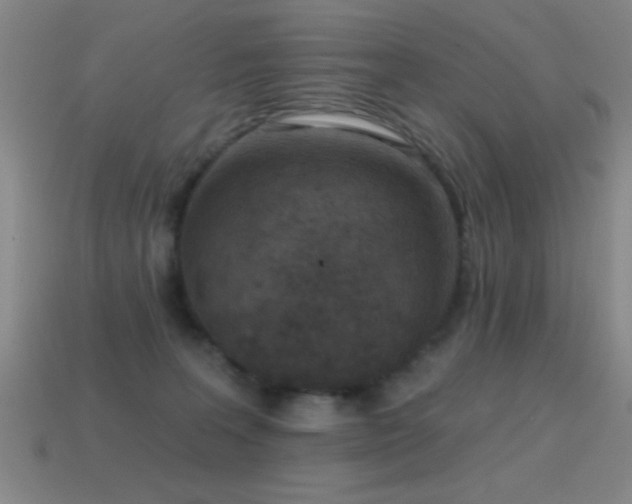 X0000114690227200910211319