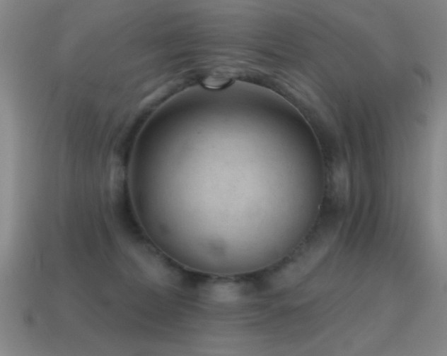 X0000114690228200910211319