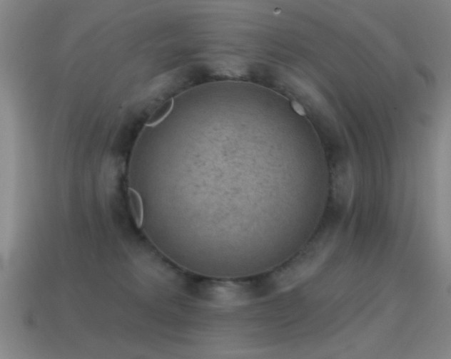 X0000114690229200910211319