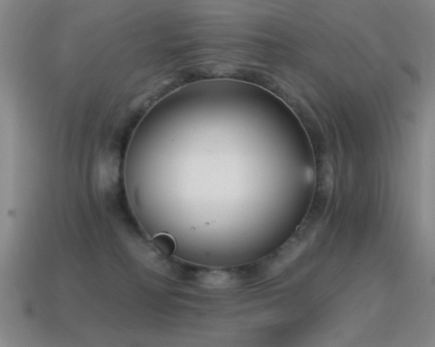 X0000114690230200910211319