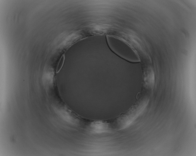 X0000114690231200910211319