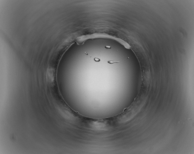 X0000114690232200910211319