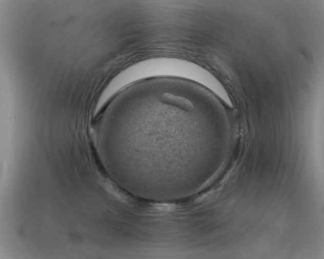 X0000114690233200910211319