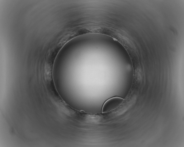 X0000114690234200910211319