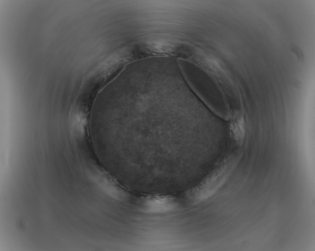 X0000114690235200910211319