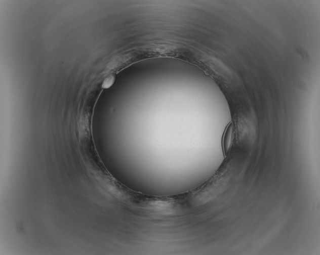 X0000114690236200910211319