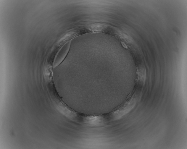 X0000114690237200910211319